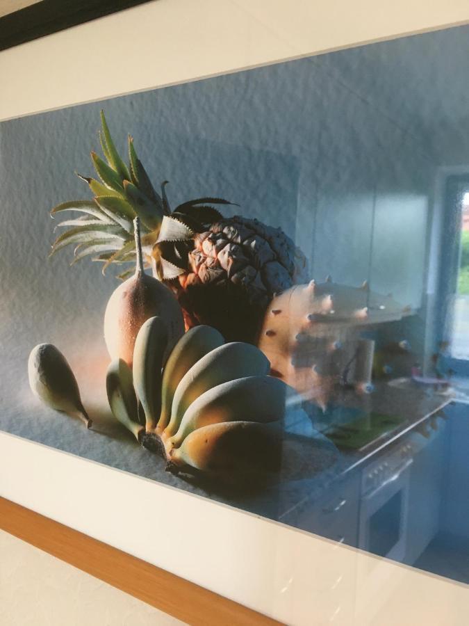 Apartament Haus Rose Ribnitz-Damgarten Zewnętrze zdjęcie