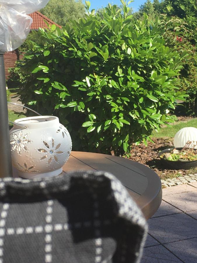 Apartament Haus Rose Ribnitz-Damgarten Zewnętrze zdjęcie