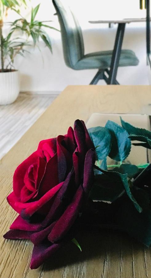 Apartament Haus Rose Ribnitz-Damgarten Zewnętrze zdjęcie